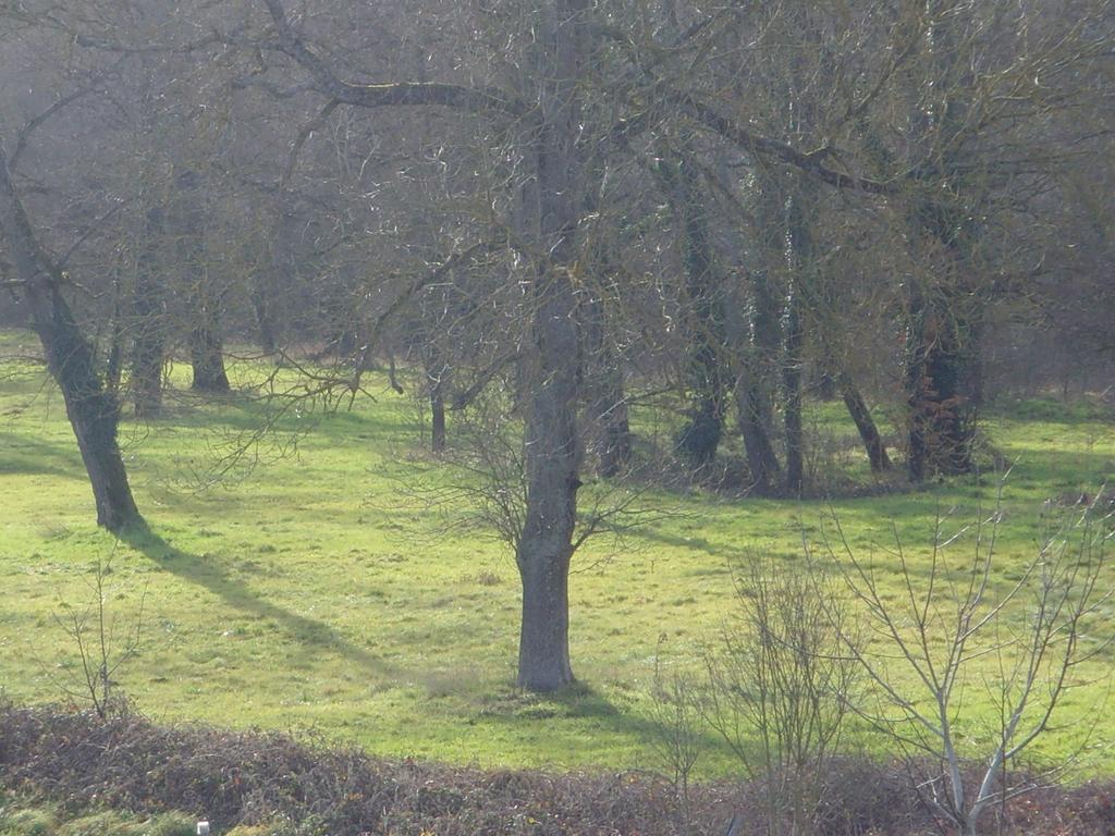 Le Bravard Jumeaux Bagian luar foto